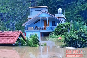 Ứng cứu 3 bà cháu bị cô lập trong nhà do ngập lụt