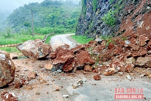 Thuận Châu: Sạt lở đá trên tỉnh lộ 116 khiến giao thông ùn tắc cục bộ