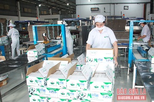 Đổi mới, nâng cao chất lượng và hiệu quả phong trào thi đua