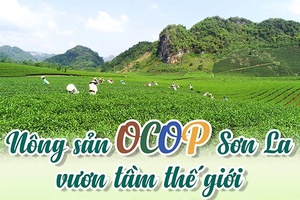 Nông sản OCOP Sơn La vươn ra thế giới