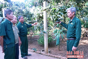 Cựu chiến binh Mai Sơn giúp nhau phát triển kinh tế