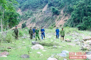 Tường Phong chủ động phòng, chống bão lũ