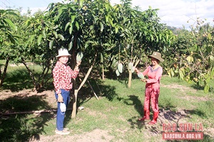 Nhiều hoạt động hỗ trợ hội viên nghèo, hoàn cảnh khó khăn