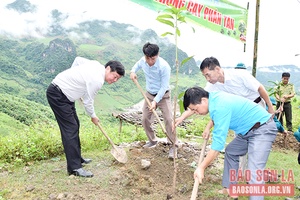 Mường Bú trồng 2.000 cây phân tán