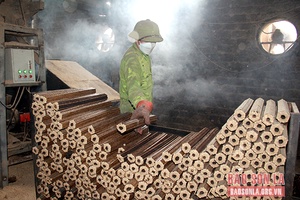 Nguồn năng lượng tái tạo từ phụ phẩm nông nghiệp