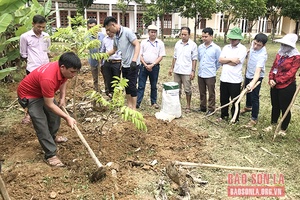 Tập huấn phương pháp ủ, sử dụng phân hữu cơ và phụ phẩm nông nghiệp