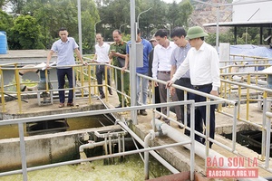 Đồng chí Phó Chủ tịch UBND tỉnh kiểm tra các cơ sở chế biến cà phê