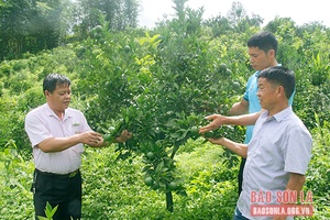 Nguồn vốn ưu đãi giúp người dân biên giới thoát nghèo