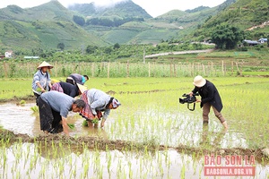 Chuyện về những “nhà báo huyện”