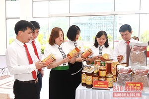 Nghề nuôi ong lấy mật