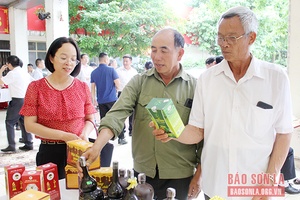 Hướng dẫn phần mềm quản lý dữ liệu cho các HTX, Liên hiệp HTX