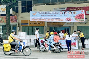 Bưu điện tỉnh hỗ trợ tiêu thụ vải thiều Bắc Giang