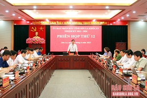 Triển khai thực hiện quyết liệt các giải pháp phát triển KT-XH