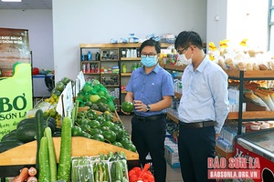 Thêm cơ hội để “Bơ Sơn La” chinh phục thị trường