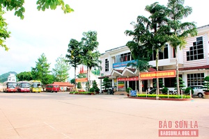 Vận tải hành khách nỗ lực vượt khó, phục hồi phát triển