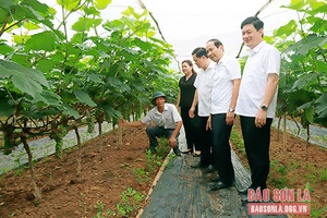 Phong trào thi đua yêu nước ở huyện biên giới