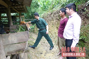 Giảm lãi suất cho người vay vốn phát triển sản xuất