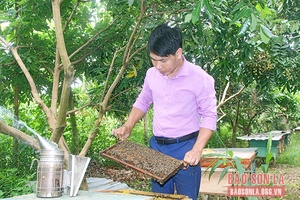 Đa dạng ngành nghề nông nghiệp, nông thôn