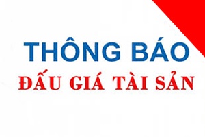 THÔNG BÁO ĐẤU GIÁ TÀI SẢN