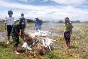 Nguy cơ tuyệt chủng chim hoang dã
