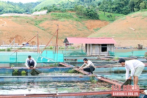 Tạo đồng thuận từ những việc làm theo Bác