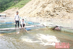 Nghề nuôi cá lồng