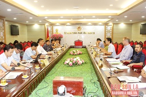 Phát triển vùng nguyên liệu trồng tre sinh thái tại Sơn La