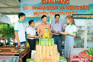 Khuyến công thúc đẩy phát triển ngành công nghiệp chế biến