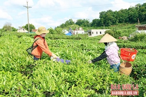 Yên Sơn xây dựng nông thôn mới