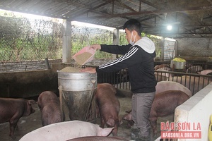 Tiếp sức cho thanh niên lập thân, lập nghiệp