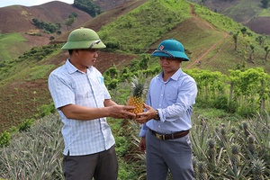 Bí thư Chi bộ, Trưởng bản gương mẫu   