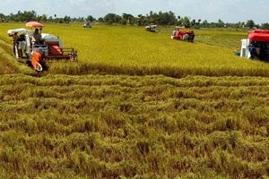 Tăng hiệu quả việc đổi mới, sắp xếp tổ chức bộ máy của hệ thống chính trị