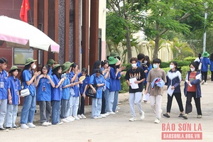 Phát triển phong trào đoàn đi vào chiều sâu, hiệu quả