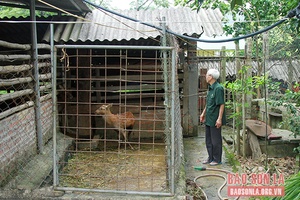 Một thương binh giàu nghị lực