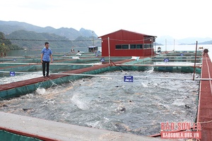 Nông dân Quỳnh Nhai ứng dụng khoa học vào sản xuất