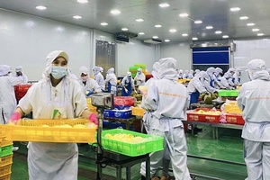 Cơ hội đẩy mạnh xuất khẩu chính ngạch trái cây sang Trung Quốc