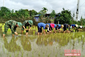 Tuổi trẻ Mai Sơn với phong trào “Đền ơn đáp nghĩa”