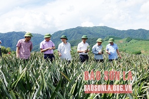 Thu hút đầu tư tạo động lực phát triển