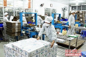 Hỗ trợ kiểm toán năng lượng, giải pháp tiết kiệm điện