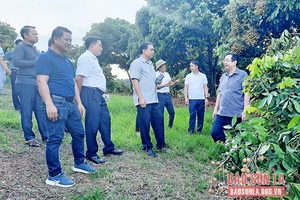 Lãnh đạo huyện Xiềng Khọ thăm và làm việc tại huyện Yên Châu