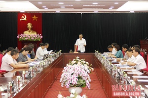 Thường trực Tỉnh ủy làm việc với Công ty TNHH mỏ Niken bản Phúc