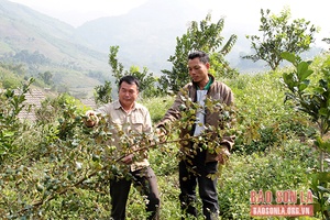 Phát huy hiệu quả quỹ hỗ trợ nông dân