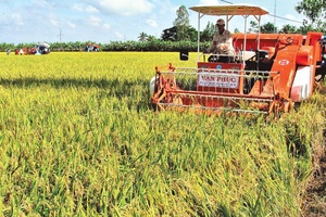 Khơi thông tín dụng phục vụ sản xuất nông nghiệp