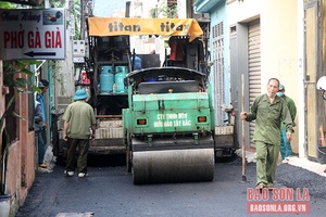 Thành phố thực hiện quy chế dân chủ ở xã, phường