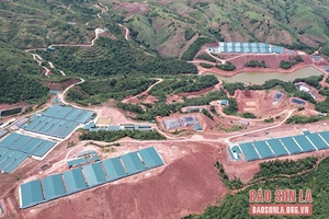 Tiếp tục thực hiện công tác bảo vệ môi trường đối với các cơ sở chăn nuôi trên địa bàn tỉnh