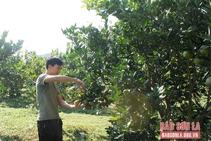 Đồng hành cùng thanh niên khởi nghiệp, lập nghiệp