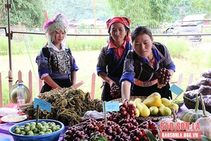 Phát triển cây dược liệu gắn với du lịch cộng đồng