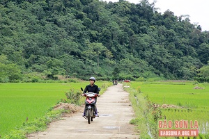 Thanh bình bản Bướt