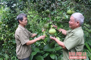 Sáng mãi ngọn lửa thanh niên xung phong