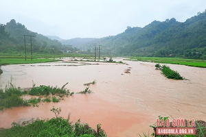 Hoàn lưu cơn bão số 2 gây thiệt hại tại một số địa phương